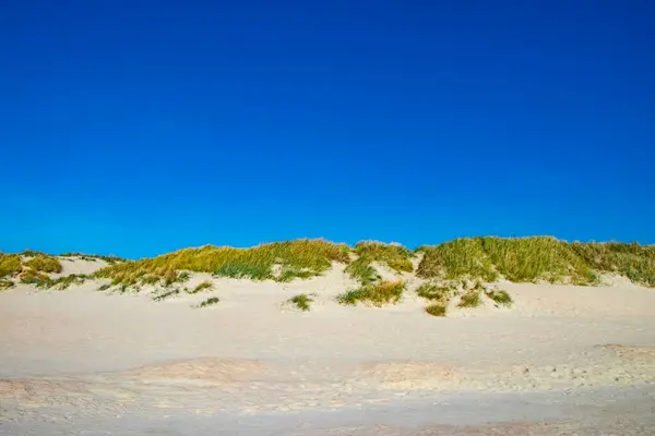 Danimarka 'daki Romo adasının arka planında beyaz kum tepeleri ve mavi gökyüzü var.