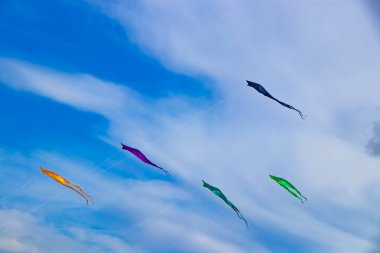 Danimarka 'nın Kuzey Denizi' nde gökyüzünde bir sürü uçan renkli uçurtma var.