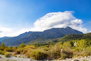 Goynuk Türkiye 'de yeşil, sarı bitkiler, ağaçlar ve güzel dağlarla güzel taştan bir manzara. (Antalya / Kemer))