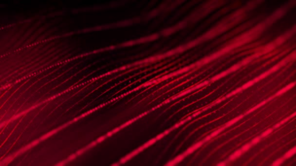 Futuristic Digital Line Particle Wave Lights Background Red Lines Digital — ストック動画