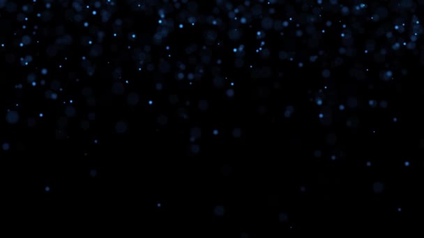 Dark Snow Falling Black Background — Stock Video