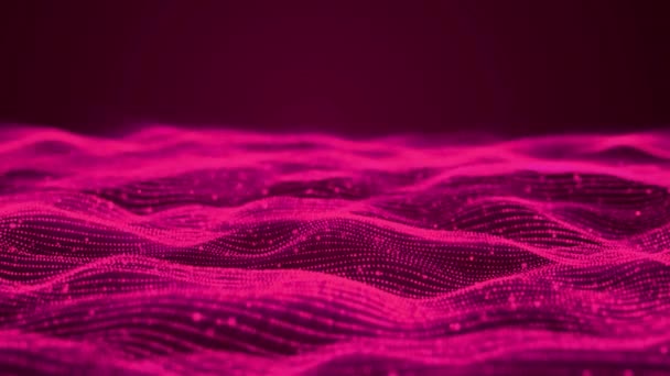 Futurista Línea Digital Ondas Partículas Luces Fondo Pink Lines Digital — Vídeos de Stock