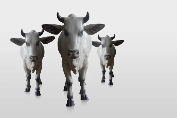 Drei Kühe Weiße Und Schwarze Farbe Eine Große Und Zwei — Stockfoto