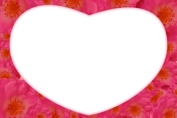 white heart on red and pink gradient background, nature, love, card, banner, template