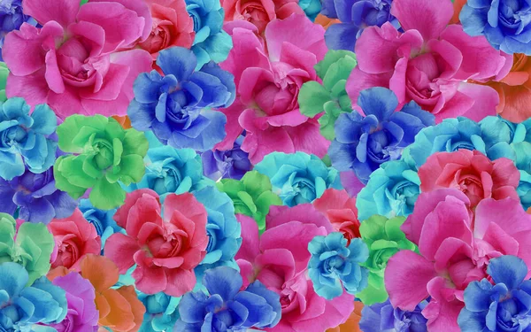 Multi-colored roses stacked on top of each other background, nature, fashion, beautiful, banner, template, background