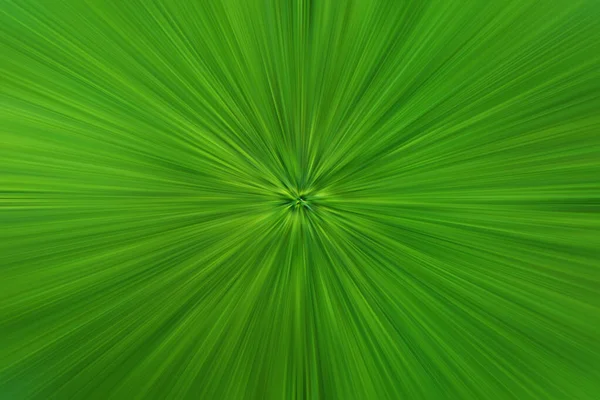 抽象绿色激光和绿色和黄色线条背景 复制空间 — 图库照片