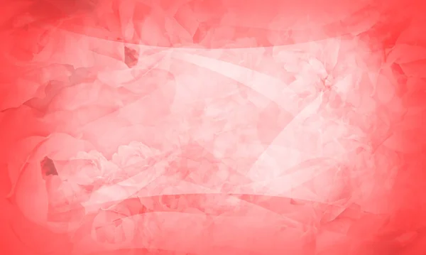 Abstract Blur White Blur Red Rose Flowers Background Banner Template — Foto de Stock