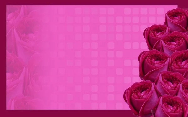 Wewnątrz Prawej Stronie Dziewięć Różowe Kwiaty Róży Bukiet Różowej Ramce — Zdjęcie stockowe