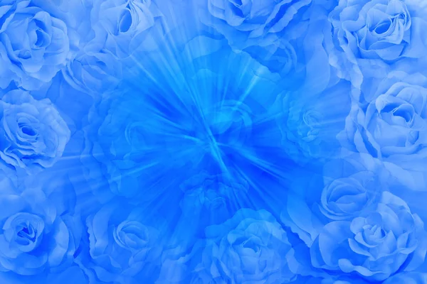 青バラの花と青のスピード上のぼかしバラの花の背景 ファッション バナー テンプレート コピースペース — ストック写真