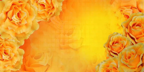 Gelbe Und Orangefarbene Rosenblüten Auf Verschwommenem Gelben Und Orangefarbenen Hintergrund — Stockfoto