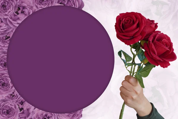 Mano Sosteniendo Ramo Rosas Círculo Púrpura Sobre Rosas Púrpura Fondo —  Fotos de Stock