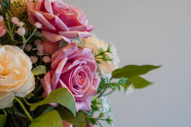 Güzel pembe ve krem rengi gül çiçekleri beyaz çimento duvar arka planı, doğa, kopyalama alanı                                         