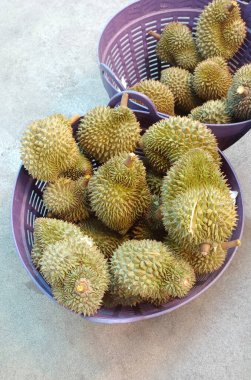 Üst görünüm durianlar menekşe, sepet içine yerleştirilir. Çimento zeminine yerleştirilmiş yiyecek, meyve, yeşil, ağaç kabuğu sivri dikenli.