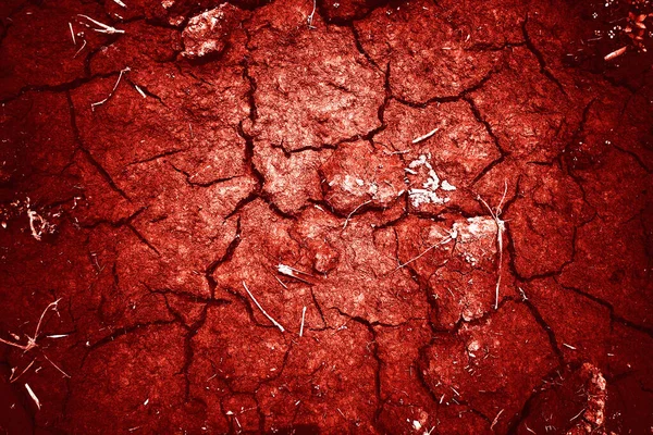 Трещины Кровавый Кровавый Стены Текстуры Красный Фон Концепции Хэллоуин — стоковое фото