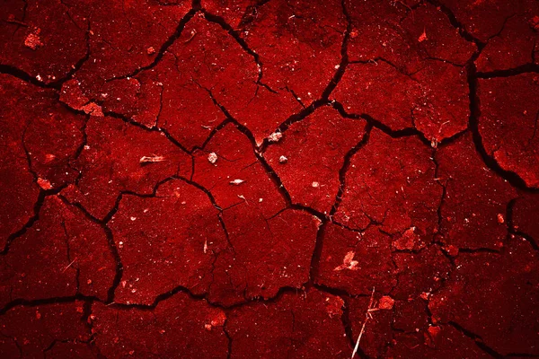 Textura Pared Sangrienta Agrietada Miedo Concepto Fondo Rojo Halloween — Foto de Stock