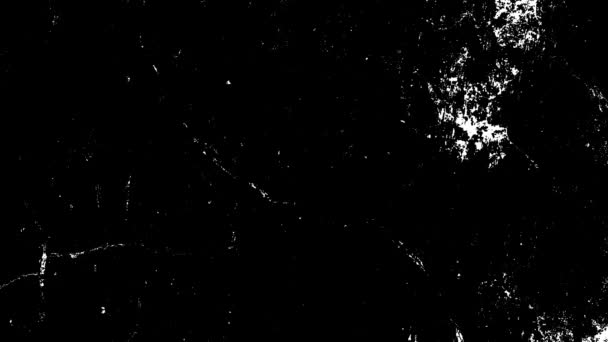 Czarno Biały Ekran Tryb Grunge Nakładka Dystres Animacja Pętli Vintage — Wideo stockowe