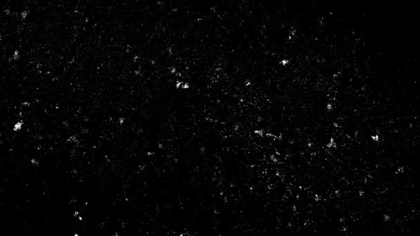 Black White Screen Mode Grunge Overlay Distress Looped Animation Vintage — Stock Video