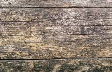 Eski ağaç gövdesinin dokusu. Kapat..