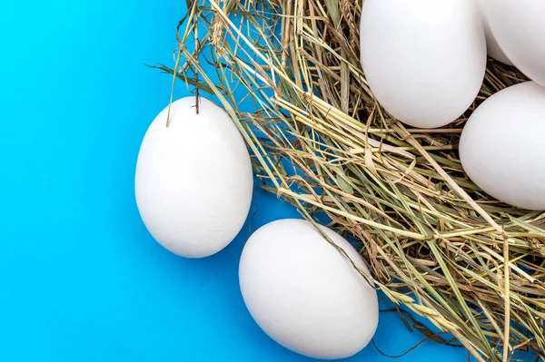 Eieren Met Nest Blauwe Achtergrond Bovenaanzicht — Stockfoto