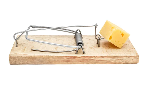Fare Kapanında Bir Parça Peynir Beyazda Izole Edilmiş — Stok fotoğraf