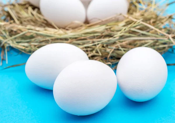 Eieren Met Nest Blauwe Achtergrond — Stockfoto
