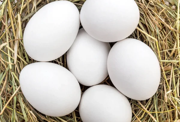 Eieren Het Nest Sluit Maar Bovenaanzicht — Stockfoto