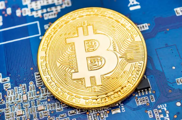 Video kartında Bitcoin 'in altın paraları var. Kapatın. Kripto madencilik kavramı.
