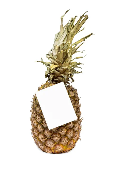 Pineapple Blank Label White Background — Stock Photo, Image