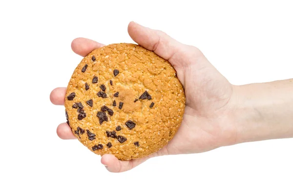 Female Hand Holds Chocolate Chip Cookie Isolated White — Stock Photo, Image