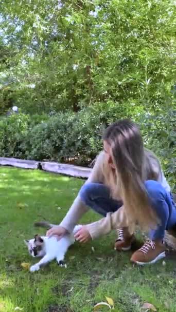 庭で彼女の白と茶色の国内猫を再生し ペットの所有者の若い女性の垂直ビュー — ストック動画