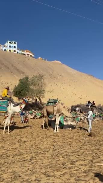 Aswan Egypt Dec 2022 Traditional Egyptian Village Scenery Unrecognizable Kid — Αρχείο Βίντεο