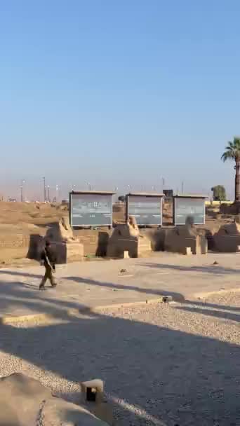Aswan Egypt December 2022 纵观阿拉伯埃及军人扛着武器在街上行走的情景 — 图库视频影像