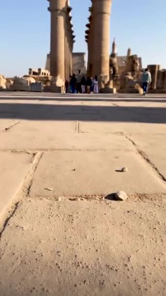Vue Panoramique Verticale Mouvement Des Colonnes Intérieur Temple Égyptien Extérieur — Video