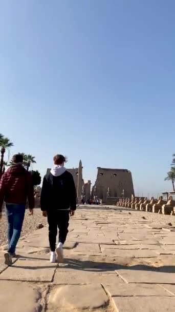 Vertikální Pohled Nerozpoznané Dva Mladé Muže Procházející Ulicí Sfingy Luxoru — Stock video