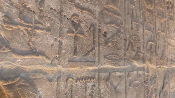 非洲阿斯旺荷鲁斯伊德福寺墙上的传统埃及象形文字近景 — 图库视频影像