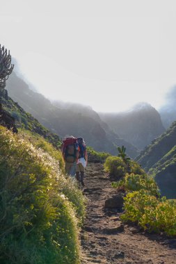 Yalnızlık ve macera. Sergide, yemyeşil renklerle bezenmiş engebeli bir dağ yoluna arkadan bakan yalnız bir yürüyüşçü yer alıyor. Dikey çerçeve ve doğal güneş ışığı sakin ama zorlu bir atmosfer yaratarak yolu aydınlatıyor.