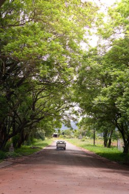 Bereketli yeşilliklerle çevrili, huzurlu, ağaçlarla kaplı bir yolda ilerleyen bir arabanın sakin bir görüntüsü doğal ortamdaki rahat bir yolculuğu gösteriyor..