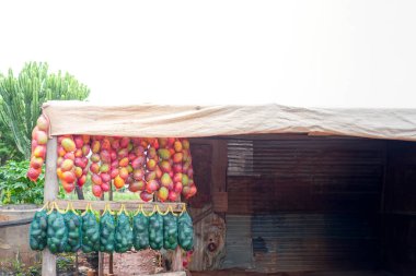 Canlı bir meyve standı, kancalardan sarkan geniş bir meyve çeşidi sunar. Müşteriler için cazip ve taze bir seçim sunar..