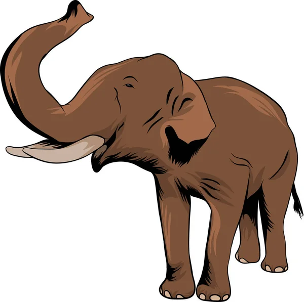 Elefánt Rajzfilm Stílus Fehér Háttér Illusztráció — Stock Vector