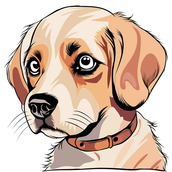 Hond Schattig Cartoon Vis Wit Achtergrond Illustratie — Stockvector