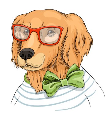 Şirin köpek portresi. Şık giyinmiş komik köpek yavrusu ya da şık çizgili hırka, yeşil papyon ve gözlük. Sosyal medya ve kumaş baskısı için tasarım ögesi. Çizgi el düz vektör çizimi