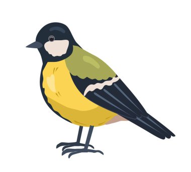 Şehir sarı kuşu. Sosyal ağlar ve kuryeler için etiket. Hayvan, doğa ve hayvan, biyoloji. Çocuk oyuncağı ya da maskotu. Kumaş üzerine yazdırmak için grafiksel öge. Çizgi film düz vektör çizimi