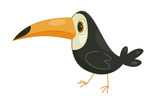 Concept Oiseau Africain Animal Noir Avec Gros Bec Vie Tropicale — Image vectorielle