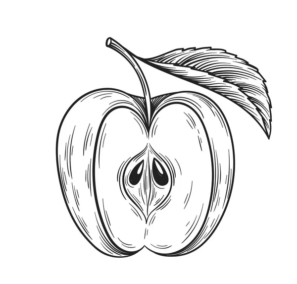 手绘苹果片 切水果 天然和有机产品 农业和收获 天然和有机食品 健康营养和素食的概念 卡通平面矢量插图 — 图库矢量图片