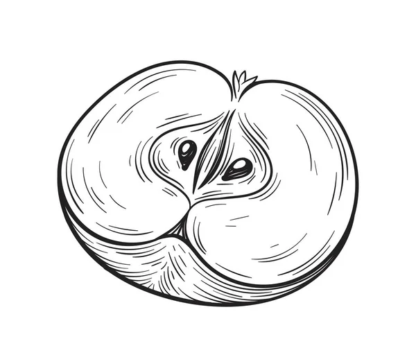 手描きのリンゴの半分 健康的な食事 適切な栄養と菜食主義者の食事 創造性と芸術 鉛筆画 天然および有機製品 ポスターやバナー 漫画フラットベクトルイラスト — ストックベクタ