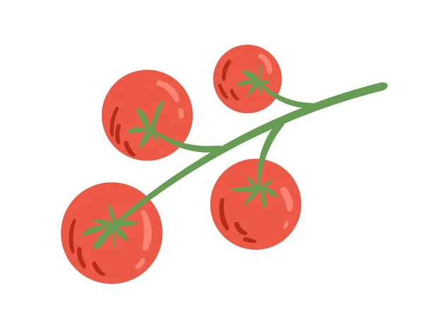 Tomates Churrasco Ramo Produtos Naturais Orgânicos Comida Saudável Nutrição Adequada —  Vetores de Stock