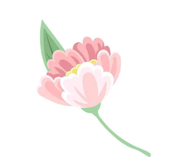 美丽的粉红色花朵 礼物和惊喜 3月8日 春季假期贺卡设计 浪漫和爱情 美学和美 卡通平面矢量插图 — 图库矢量图片