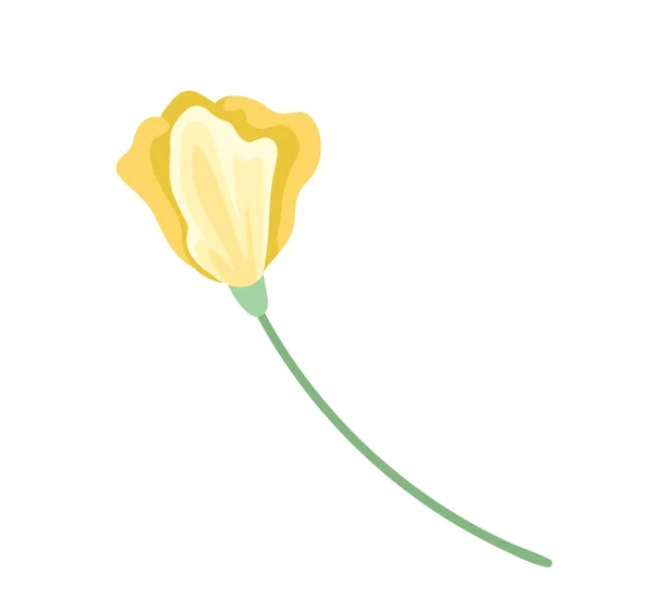 美丽的黄色花朵 水彩画 美学与典雅 植物学和花卉学 植物和自然 创意和艺术 礼物和惊喜 春天的象征 卡通平面矢量插图 — 图库矢量图片