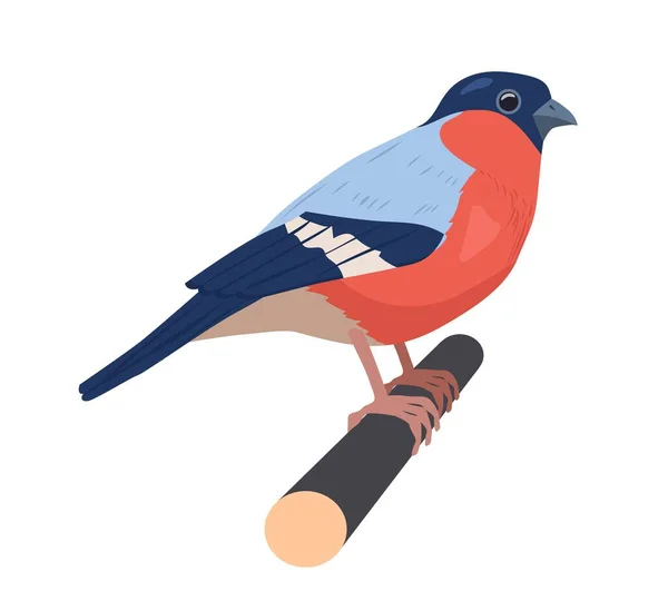 Oiseau Rouge Ville Animal Brillant Vie Sauvage Affiche Bannière Pour — Image vectorielle