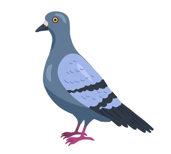 Pájaro Gris Ciudad Pequeño Personaje Lindo Fauna Naturaleza Biología Juguete — Vector de stock